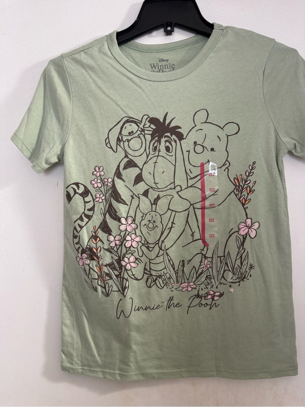Winnie The Pooh & Friends Women's T-shirt XXSmall Disney Short Sleeve Sage Green